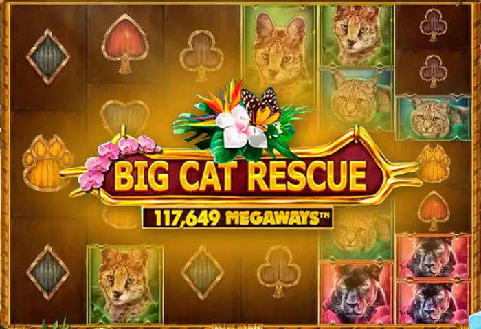Expert Zufan Ethiopia Slots Review guides new players.