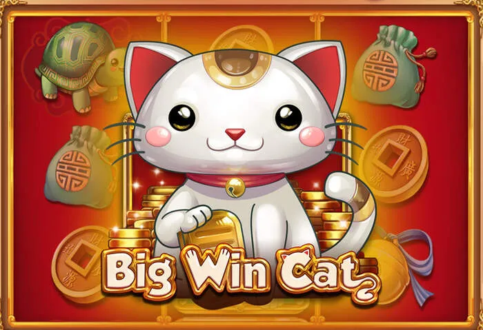 Promotional banner for Zufan Bet deposit bonus offers.