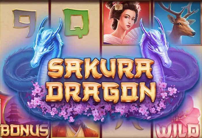 Experiencia completa de casino online con Zufan Bet y sus juegos.
